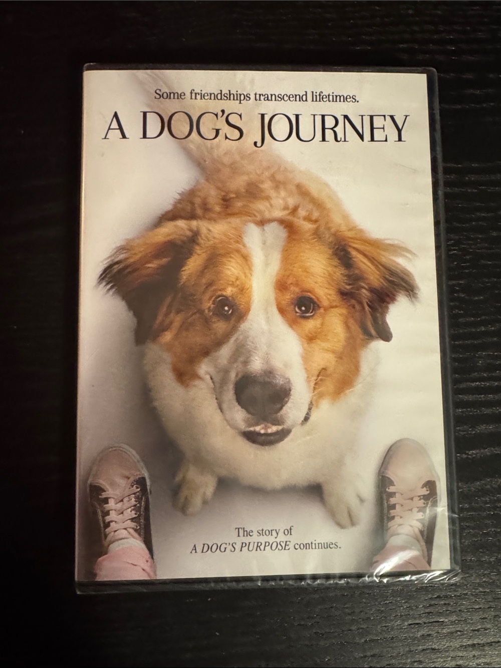 Universal A Dog's Journey DVD — White and Brown Dog